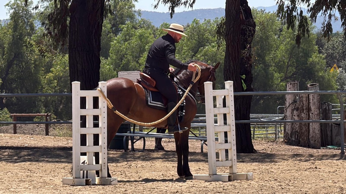 A rider in a flat-brimmed hat guides a bay horse between two white gate standards with a rope obstacle